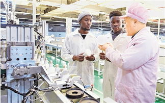 浙江日報 照明電器及配套設備產業，點亮浙江智造新未來